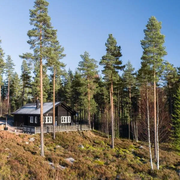 Chalet Vrådal，位于Brosdal的酒店