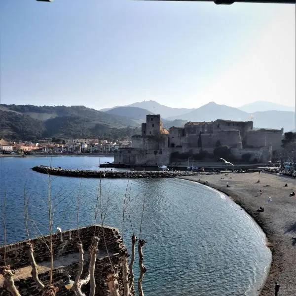 Appartement T6. Emplacement et vue mer d'exception，位于科利尤尔的酒店