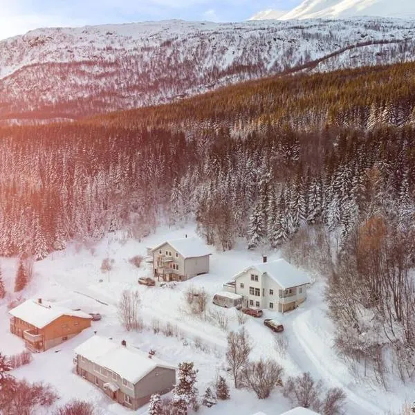 Main floor in the Lyngen Alps, whole house rentable，位于灵塞德的酒店