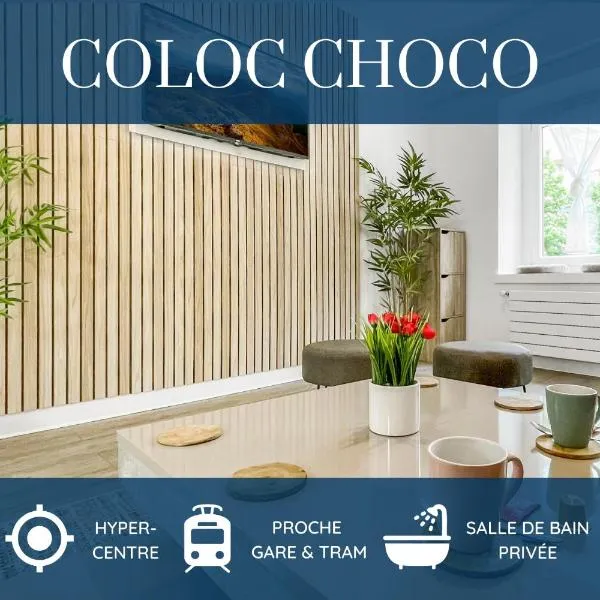 LA COLOC CHOCO - Belle Colocation en hypercentre / 5 chambres privées / Salle de bains privative / Proche Gare et Tram / Wifi et Netflix，位于安纳马斯的酒店