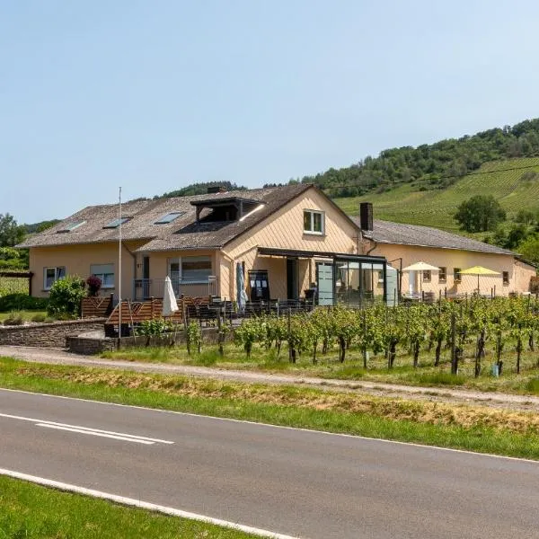 Weingut J. A. Meyer，位于温特里希的酒店