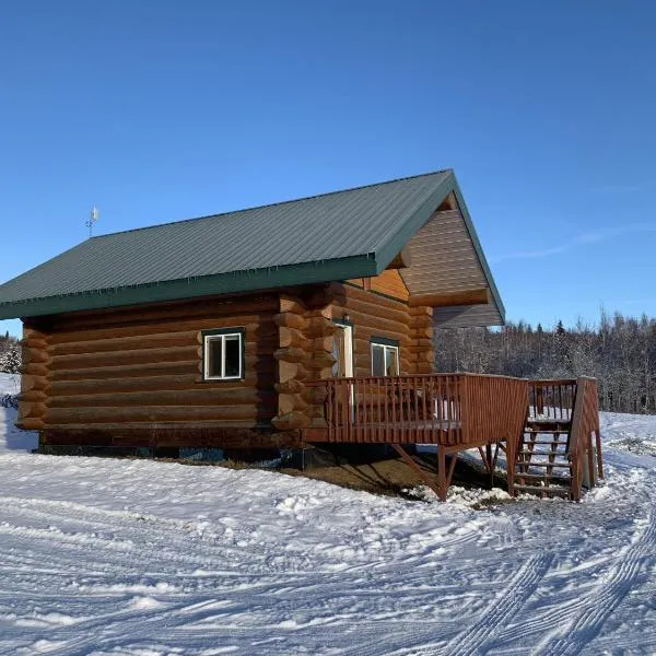 The Chena Valley Cabin, perfect for aurora viewing，位于North Pole的酒店