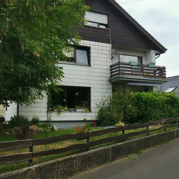 Ferienwohnung-Ameisenhardt，位于施莱登的酒店