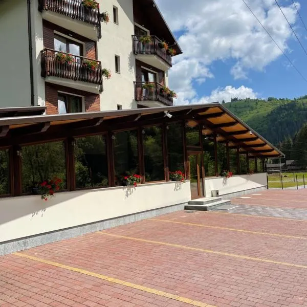 PENSIUNEA SKY HUB，位于阿列谢尼的酒店