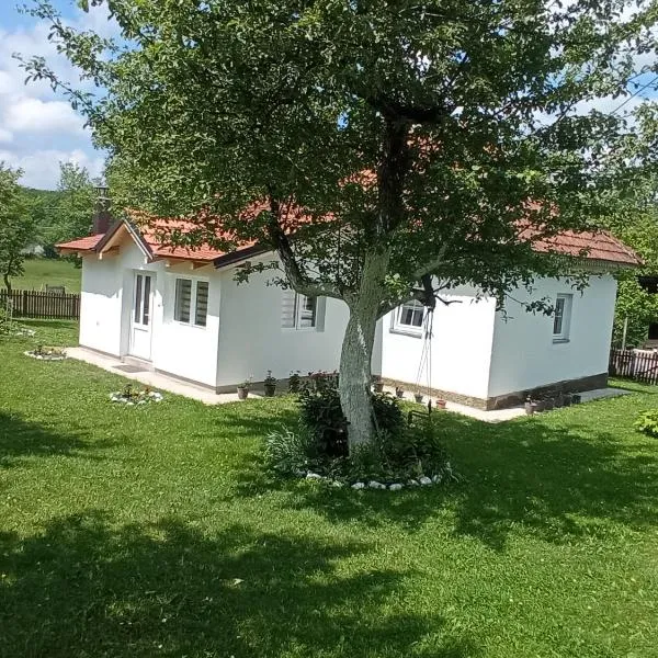 Verina kuća，位于Kosjerić的酒店