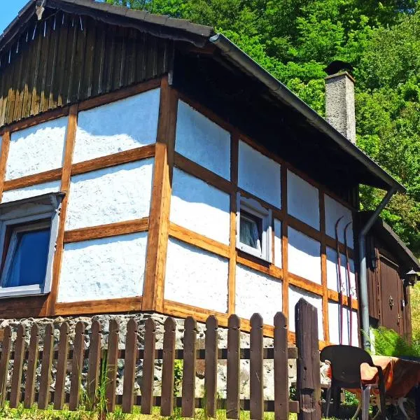 Arode Hütte Harzilein - Romantic tiny house on the edge of the forest，位于Zorge的酒店