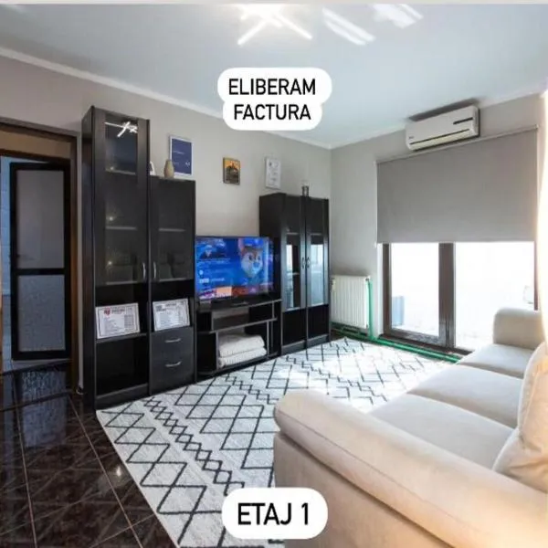 Apartament S46，位于Doljeşti的酒店