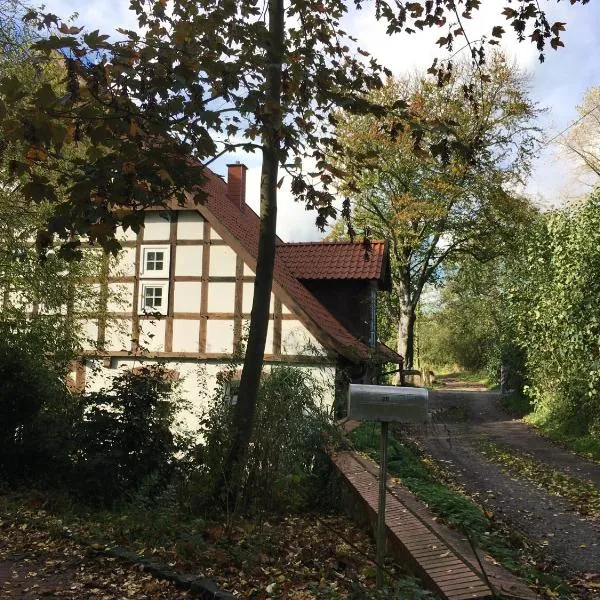 In der Wassermühle，位于Holzhausen的酒店