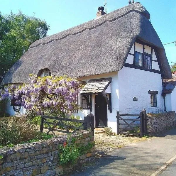 Cider Mill Cottage，位于Severn Stoke的酒店