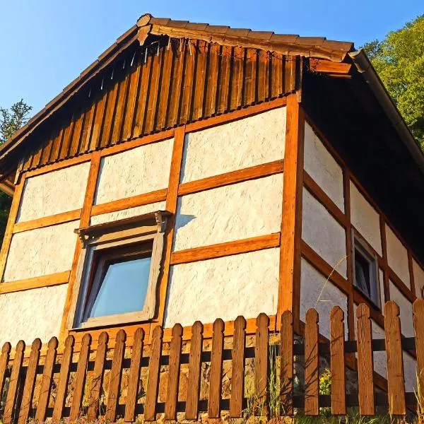 Arode Hütte Harzilein - Romantic tiny house on the edge of the forest，位于Zorge的酒店