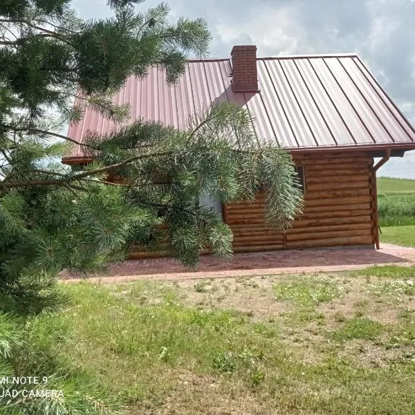 Nad żabim stawem，位于Jałowo的酒店