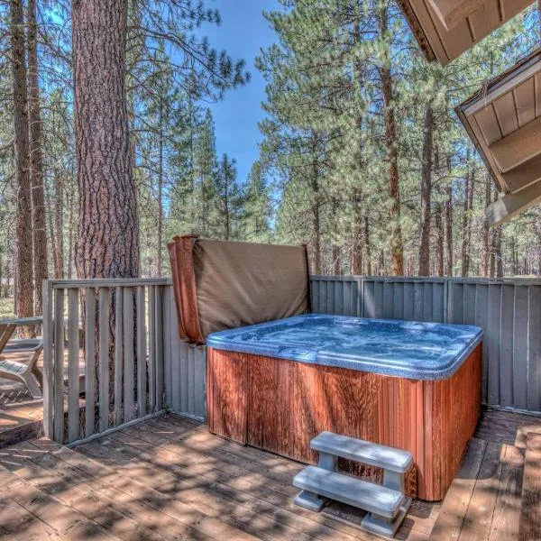 Quartz Mountain - Unit 1，位于森赖弗的酒店