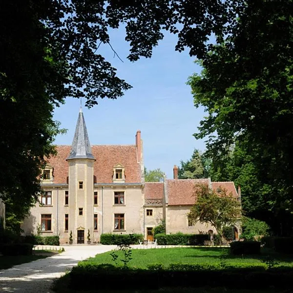 城堡 - 乐萨拉酒店，位于Saint-Parize-le-Châtel的酒店