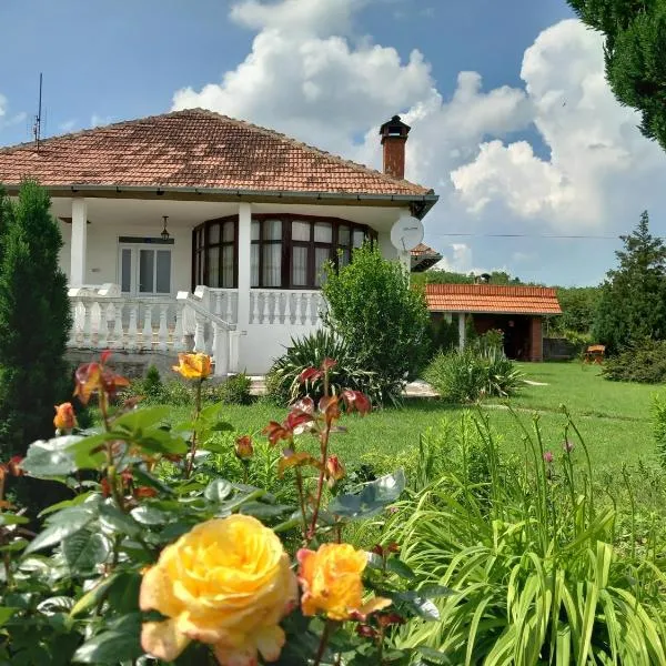 Apartmani Ćosić，位于Blace的酒店