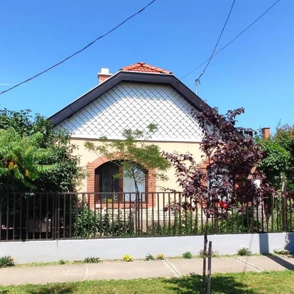 Bundik Vendégház，位于Mezőpeterd的酒店