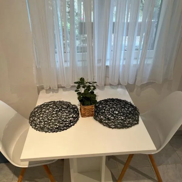 Apartments Despotović，位于维斯的酒店