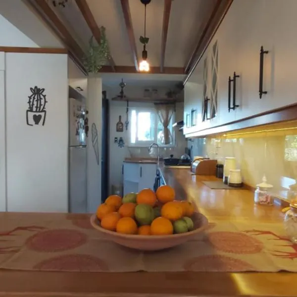 Havuzlu Bahçeli Müstakil Villa，位于锡德的酒店