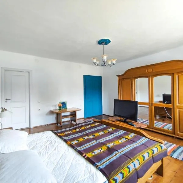 Blue Home，位于Nucet的酒店