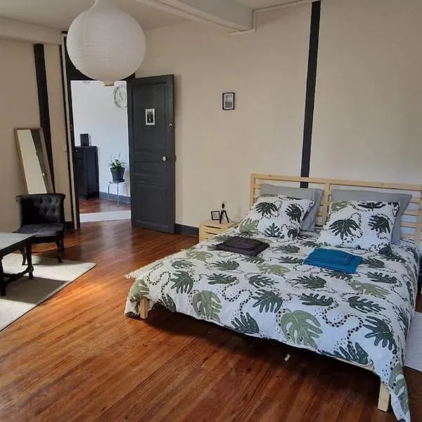 Spacieuse Maison de ville - Quartier Calme - 10 Personnes，位于奥洛龙圣玛丽的酒店