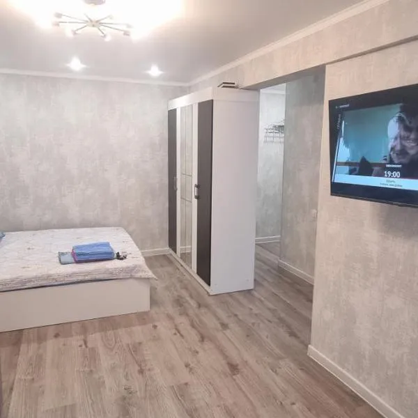 1 комнатная квартира со всеми удобствами，位于巴尔喀什的酒店