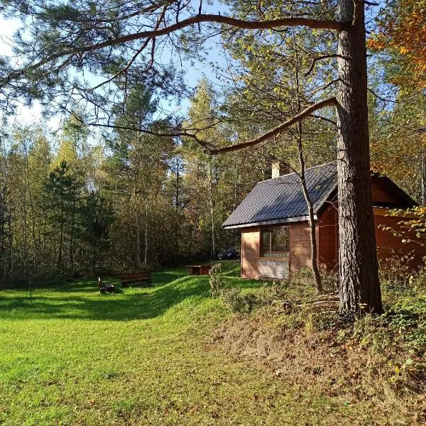 Survivalowa chata w lesie，位于Rzepedż的酒店