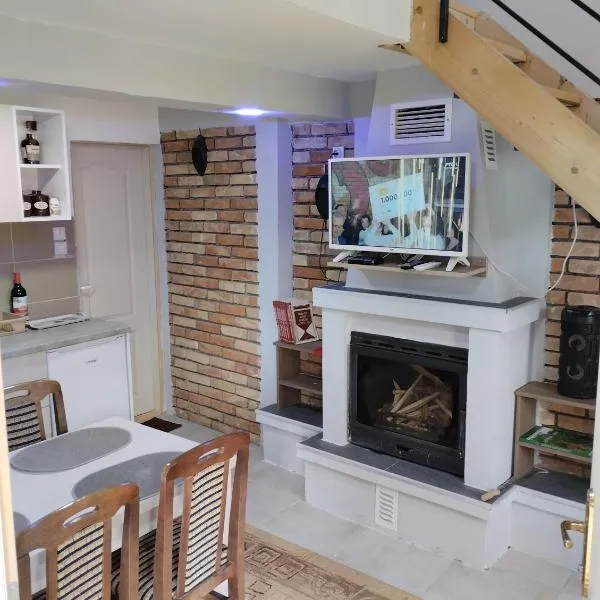 D&M Apartman Dojkinci，位于皮罗特的酒店