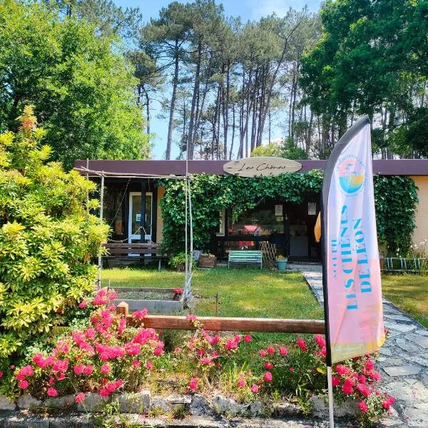 Village vacances les Chênes de Leon，位于莱昂的酒店