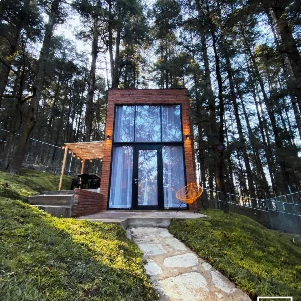 Cabañas Boutiques TinyChillHouse，位于帕丘卡德索托的酒店