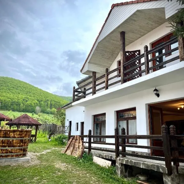 Casa Ariana，位于Rîmeţi的酒店