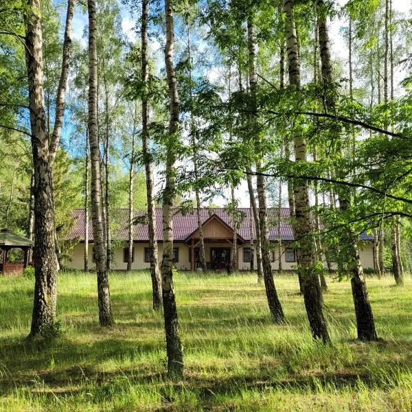 Ośrodek Wypoczynkowy Zacisze, Okoniny，位于Trzebciny的酒店