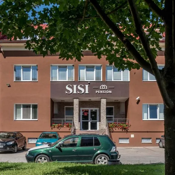 SISI Pension，位于Horná Mariková的酒店