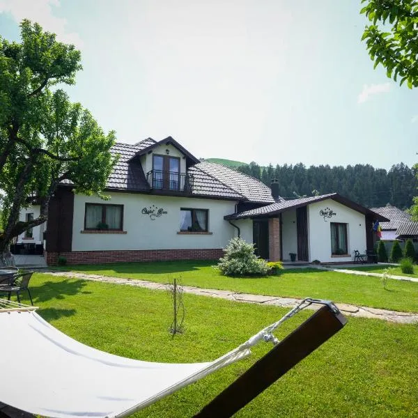 Chalet Bora，位于下维谢乌乡的酒店