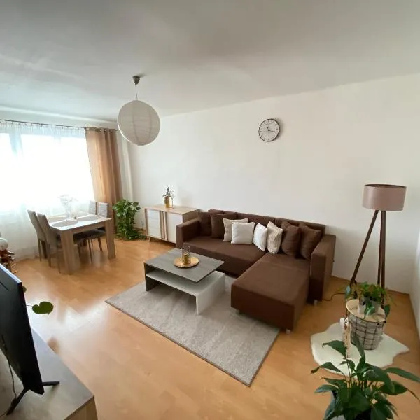 Apartman Lienka FREE PARKING CITY CENTRE，位于特伦钦的酒店