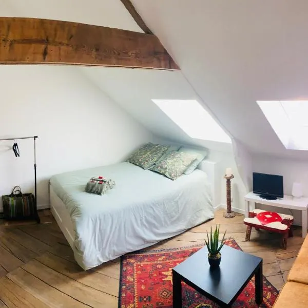 "Belle-vue" Cocon de charme，位于雷恩的酒店