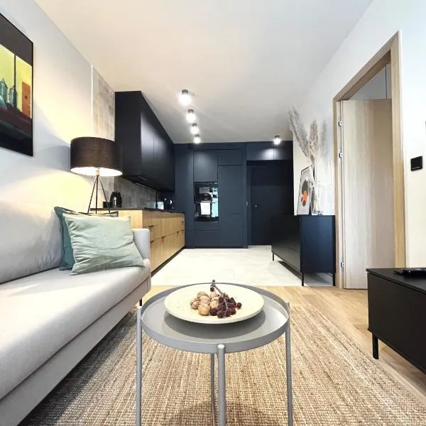 WYSZYŃSKIEGO Apartment - Self Check-In 20h - Parking &Lift，位于弗罗茨瓦夫的酒店