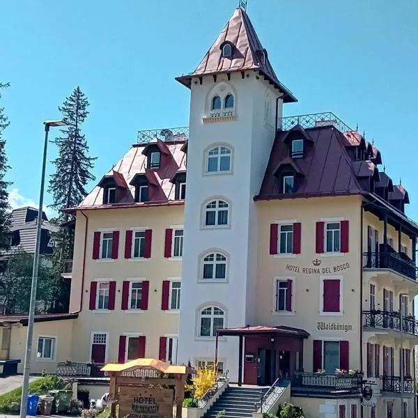 Hotel Regina del Bosco，位于罗恩佐的酒店
