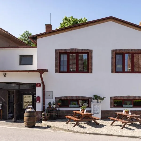 Penzion a vinařství NATURVINI，位于Hostěradice的酒店