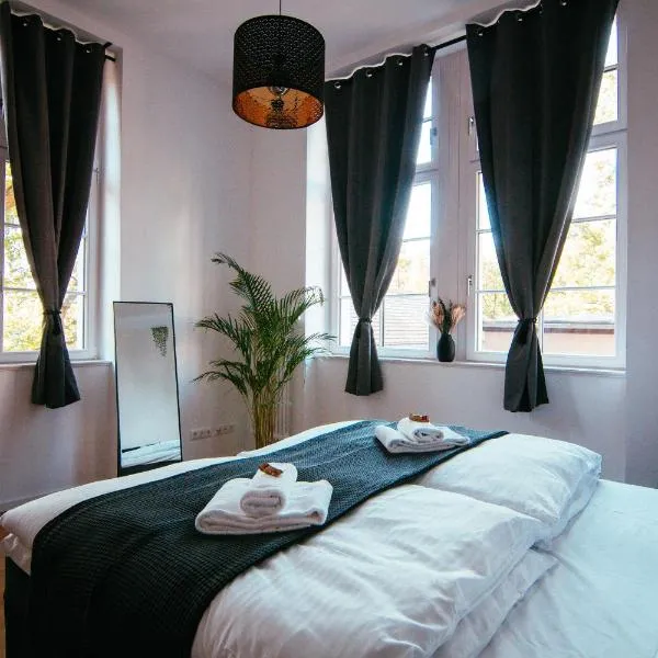 Oasis Appart - Wohnen im Königspark - Elbhang Dresden - große Terrasse - Netflix - TG，位于德累斯顿的酒店