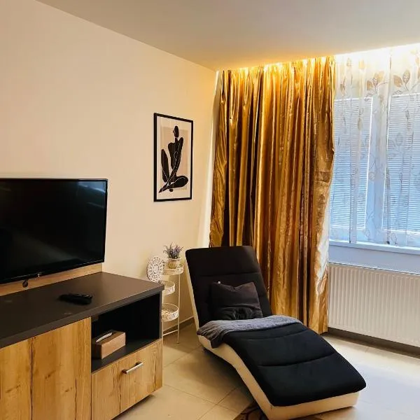 Sparrow apartmens - Vrabčia ulica 9, Košice，位于Haniska的酒店