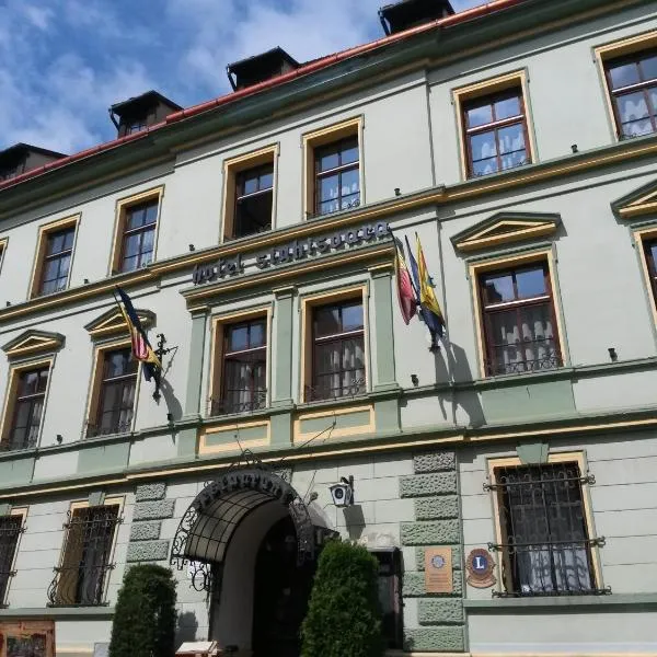 锡吉什瓦拉酒店，位于Stejărenii的酒店