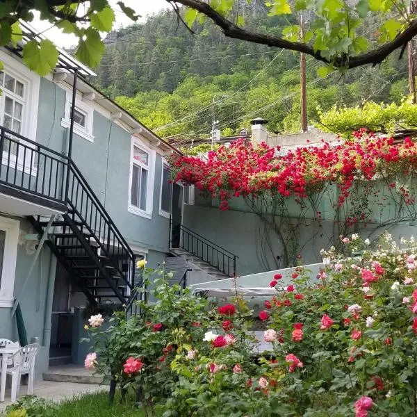 Guest House Green Rose，位于巴库里阿尼的酒店