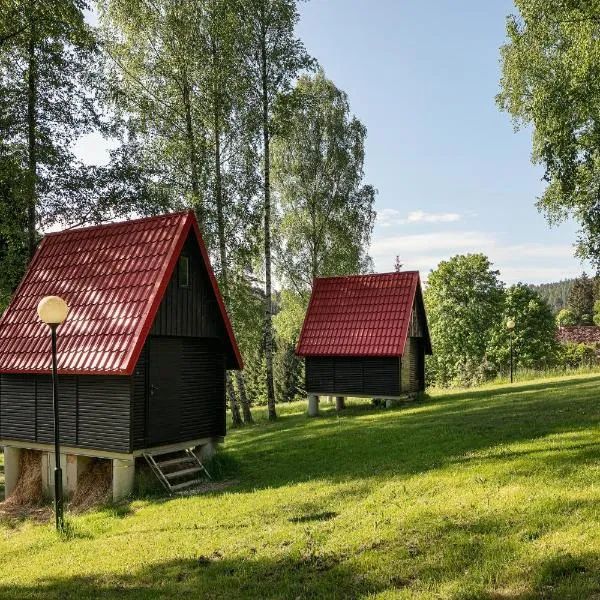 Chatky Skalní mlýn Adršpach，位于捷克斯卡利采的酒店