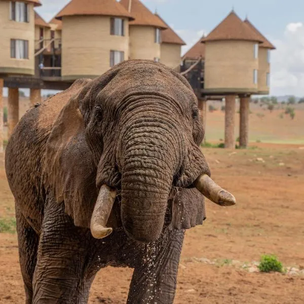 Salt Lick Safari Lodge，位于Mwatate的酒店