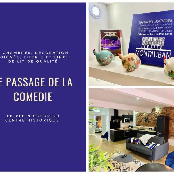 Le Passage de la Comédie - Climatisation & WiFi Fibre，位于蒙托邦的酒店