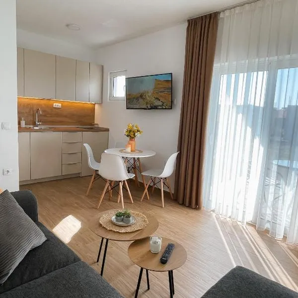 Apartmani Živanović Ulcinj，位于乌尔齐尼的酒店