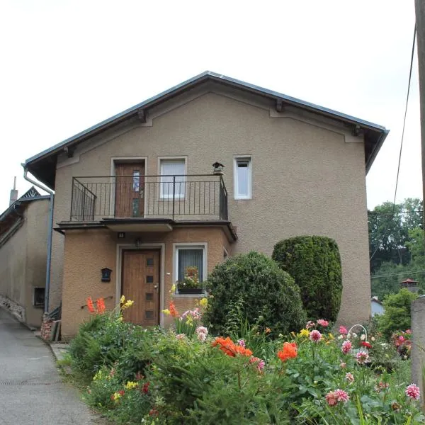 Apartmán Česká Metuje，位于Česká Metuje的酒店