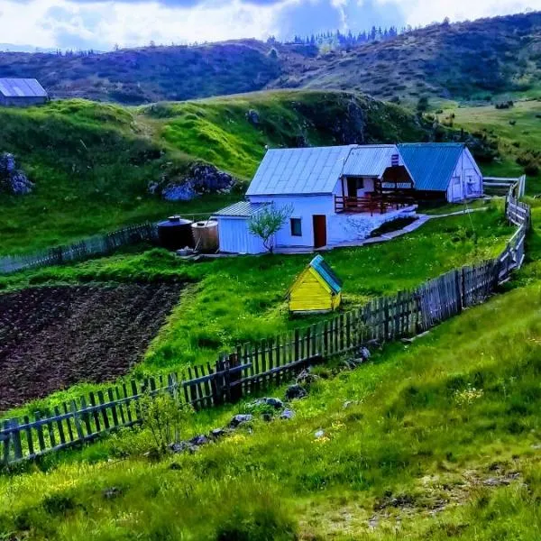 Weekend house in the Piva nature park，位于Kružac的酒店