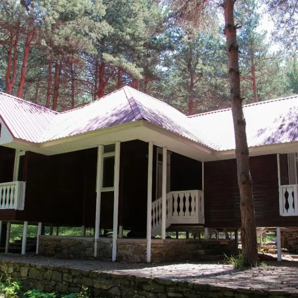 Narin Qala Resort，位于舍基的酒店