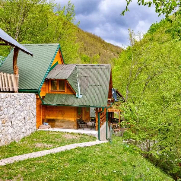 Brvnara Djordje tri zbezde，位于Kokin Brod的酒店