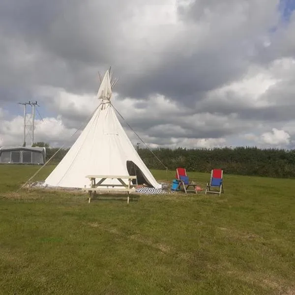 Hawk's View Tipi at Higher Hawksland Farm，位于洛斯特威希尔的酒店